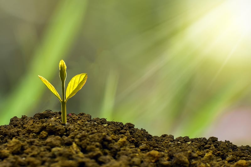 Green Supply Chain