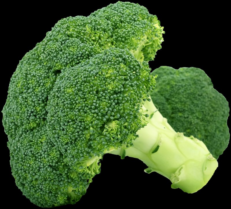 Sustainable Food Choices